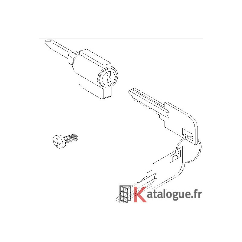 Cylindre + vis pour 0116070