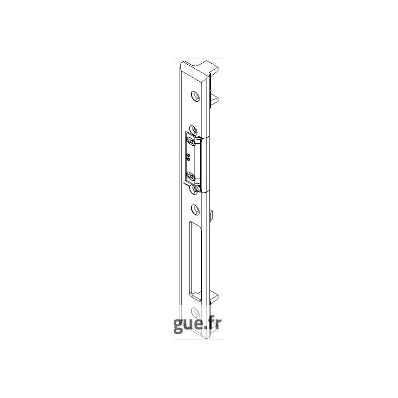 Gâche centrale DIN GAUCHE 2V serrure relevage