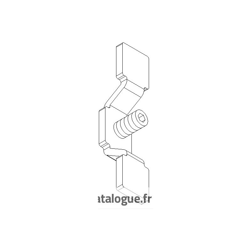 Gâche inox + vis Basic